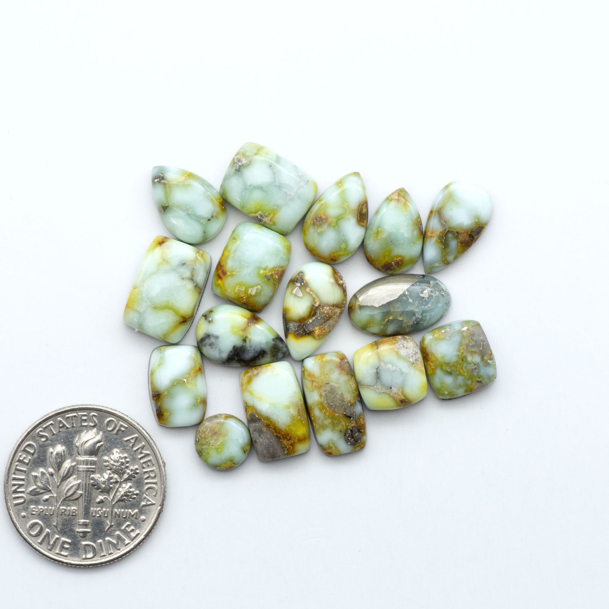 Palomino Variscite cabochons, polished yellow-green gemstones with natural matrix on a white background with a US dime for scale