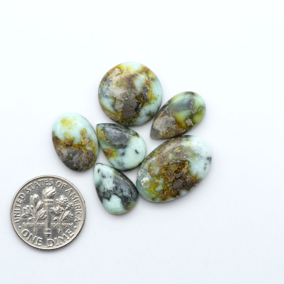 Palomino Variscite cabochons, polished yellow-green gemstones with natural matrix on a white background with a US dime for scale