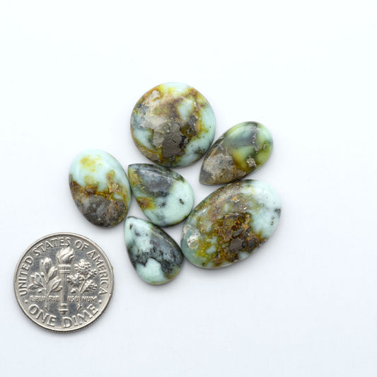 Palomino Variscite cabochons, polished yellow-green gemstones with natural matrix on a white background with a US dime for scale