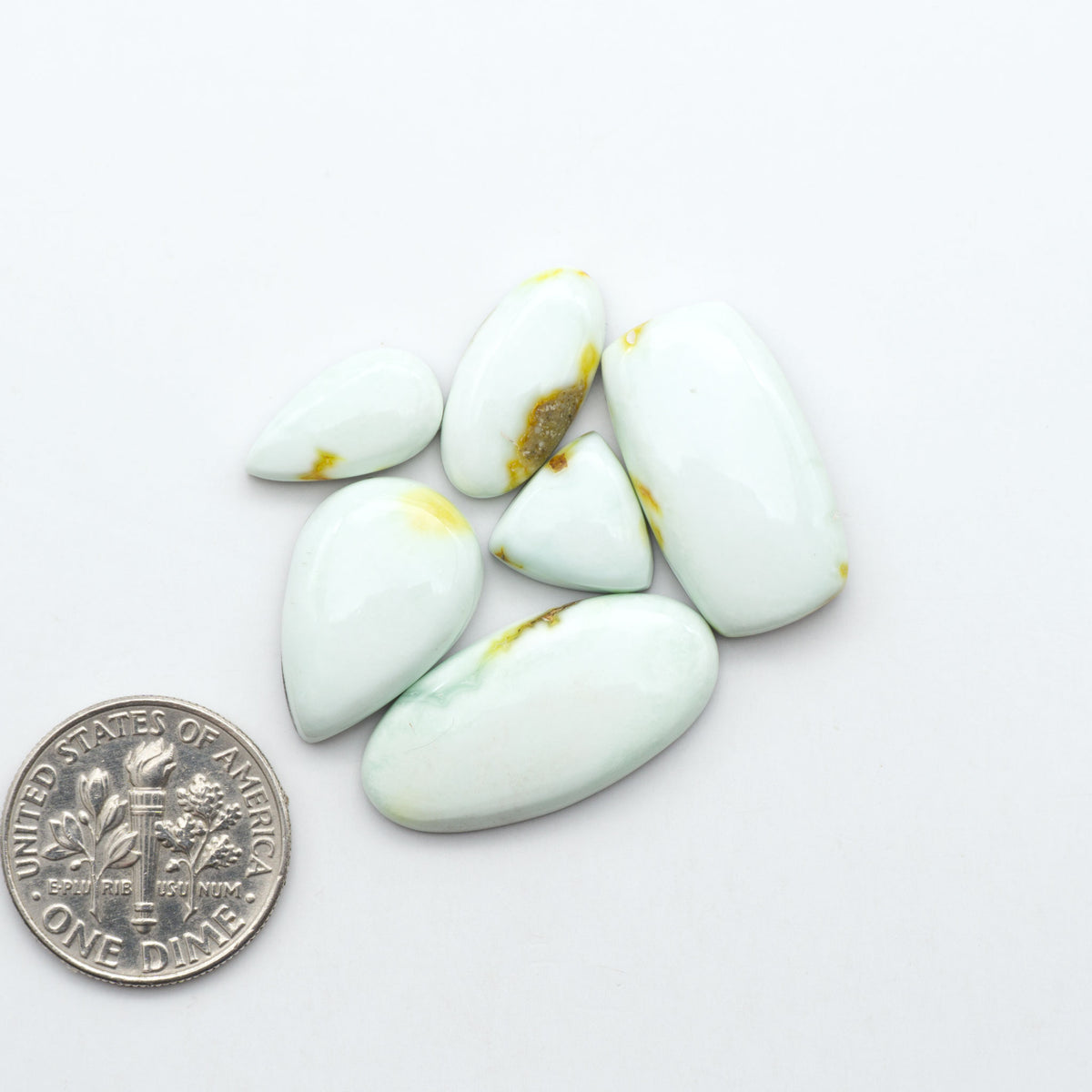 Palomino Variscite cabochons, polished yellow-green gemstones with natural matrix on a white background with a US dime for scale