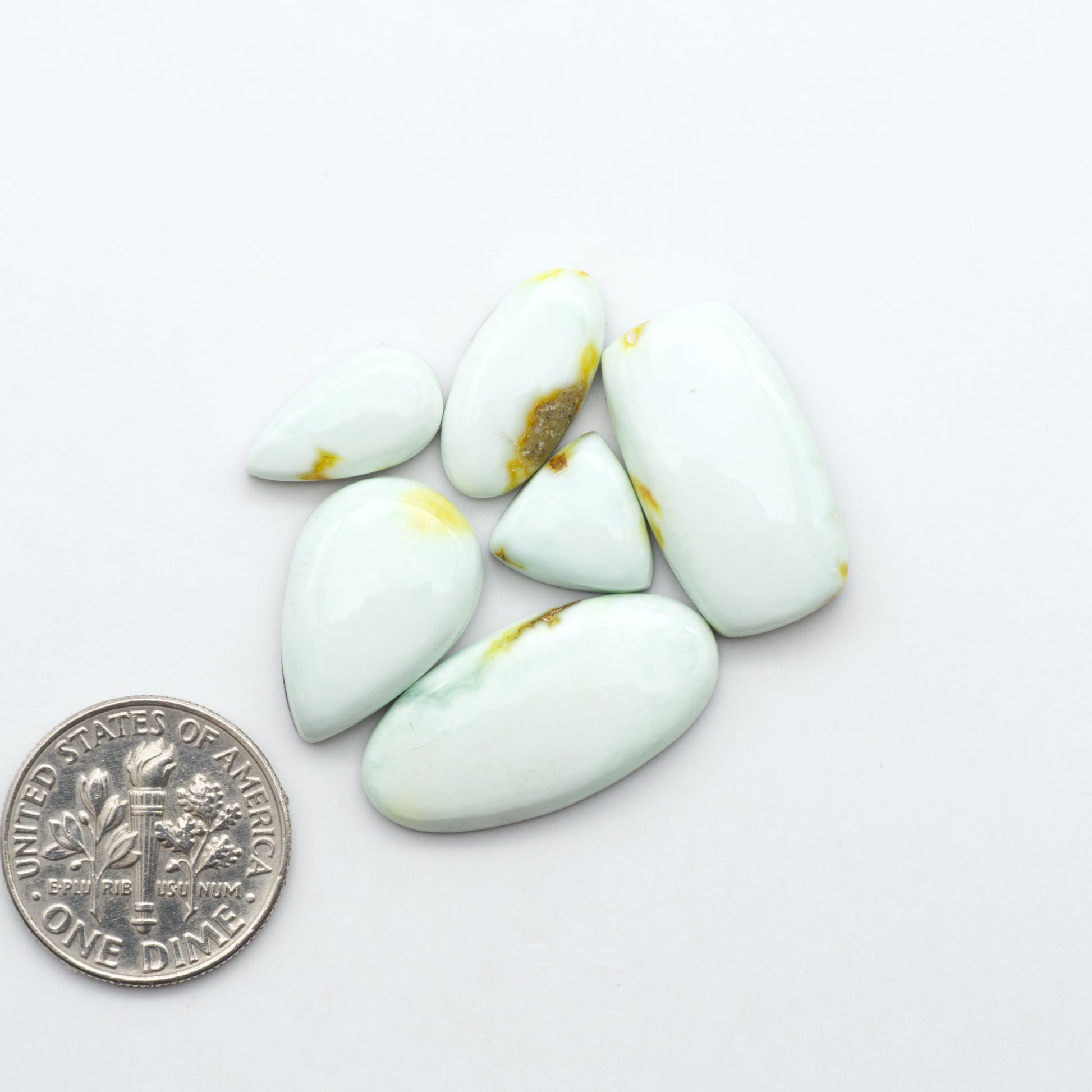 Palomino Variscite cabochons, polished yellow-green gemstones with natural matrix on a white background with a US dime for scale