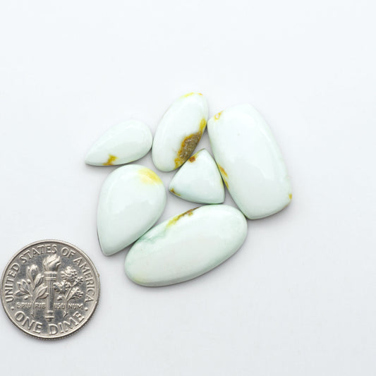 Palomino Variscite cabochons, polished yellow-green gemstones with natural matrix on a white background with a US dime for scale