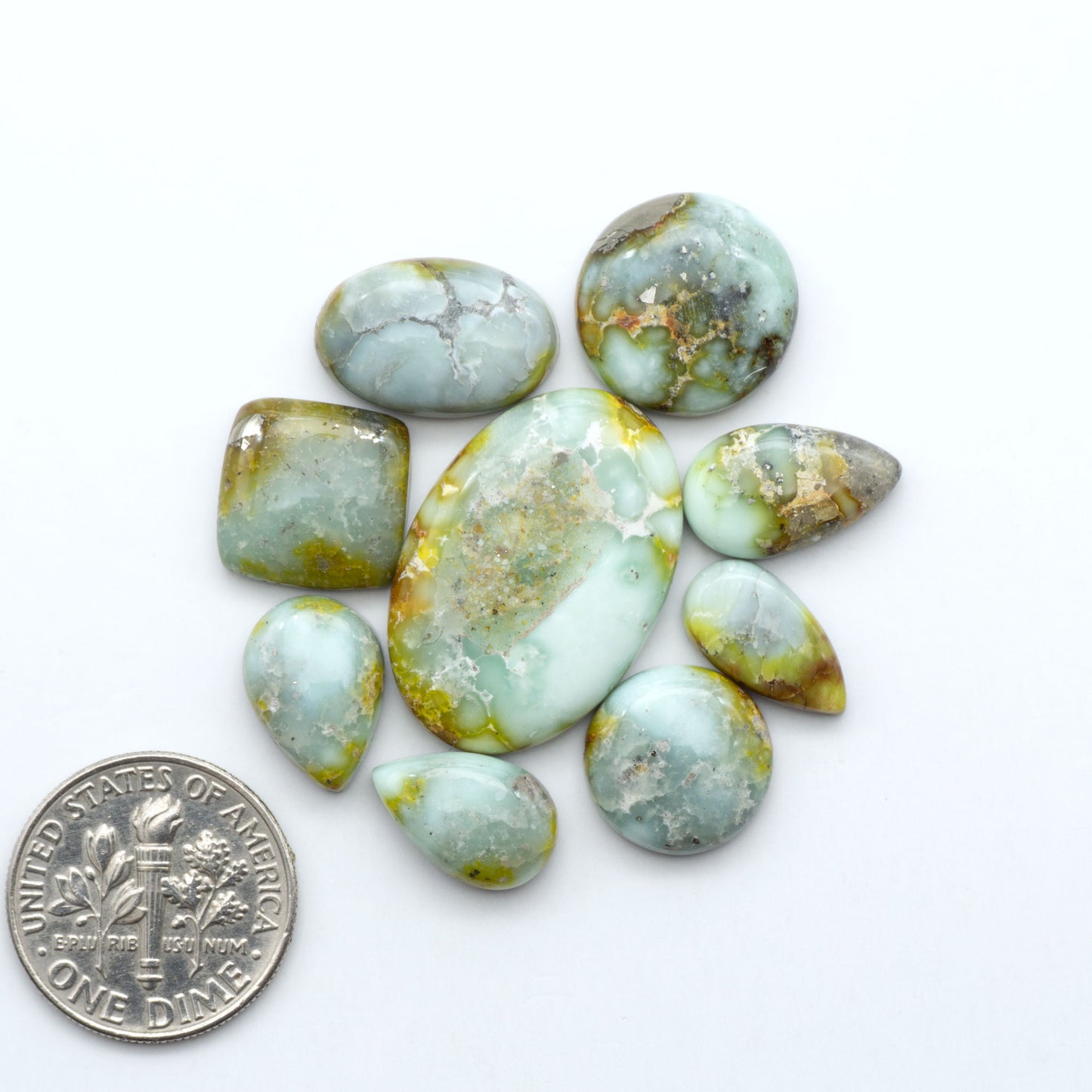 Palomino Variscite cabochons, polished yellow-green gemstones with natural matrix on a white background with a US dime for scale