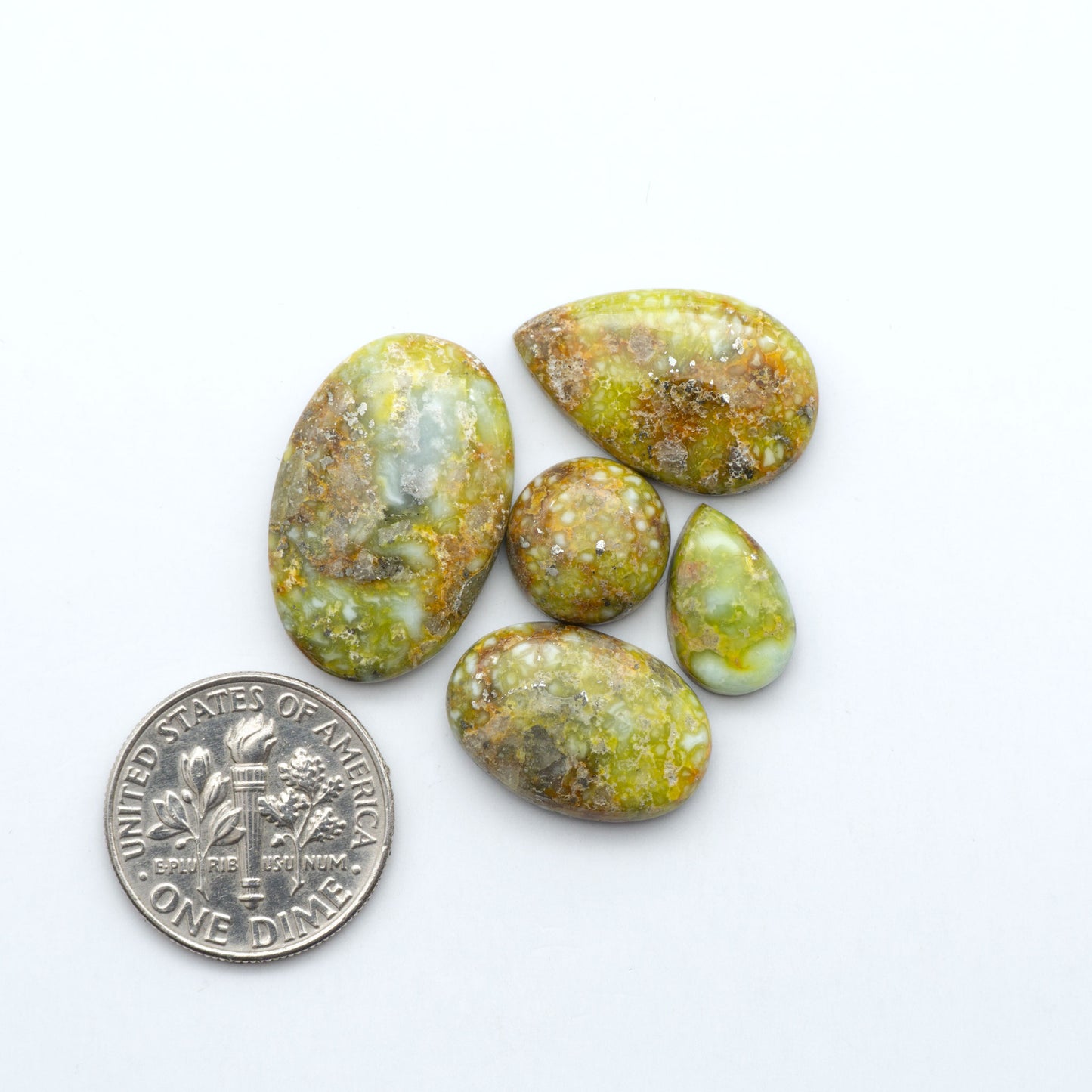 Palomino Variscite cabochons, polished yellow-green gemstones with natural matrix on a white background with a US dime for scale