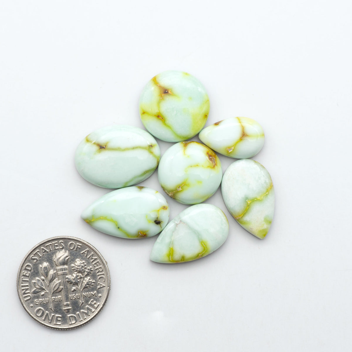 Palomino Variscite cabochons, polished yellow-green gemstones with natural matrix on a white background with a US dime for scale