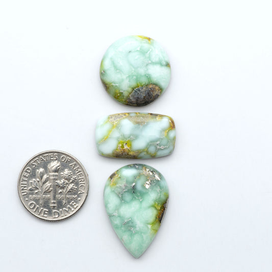 Palomino Variscite cabochons, polished yellow-green gemstones with natural matrix on a white background with a US dime for scale