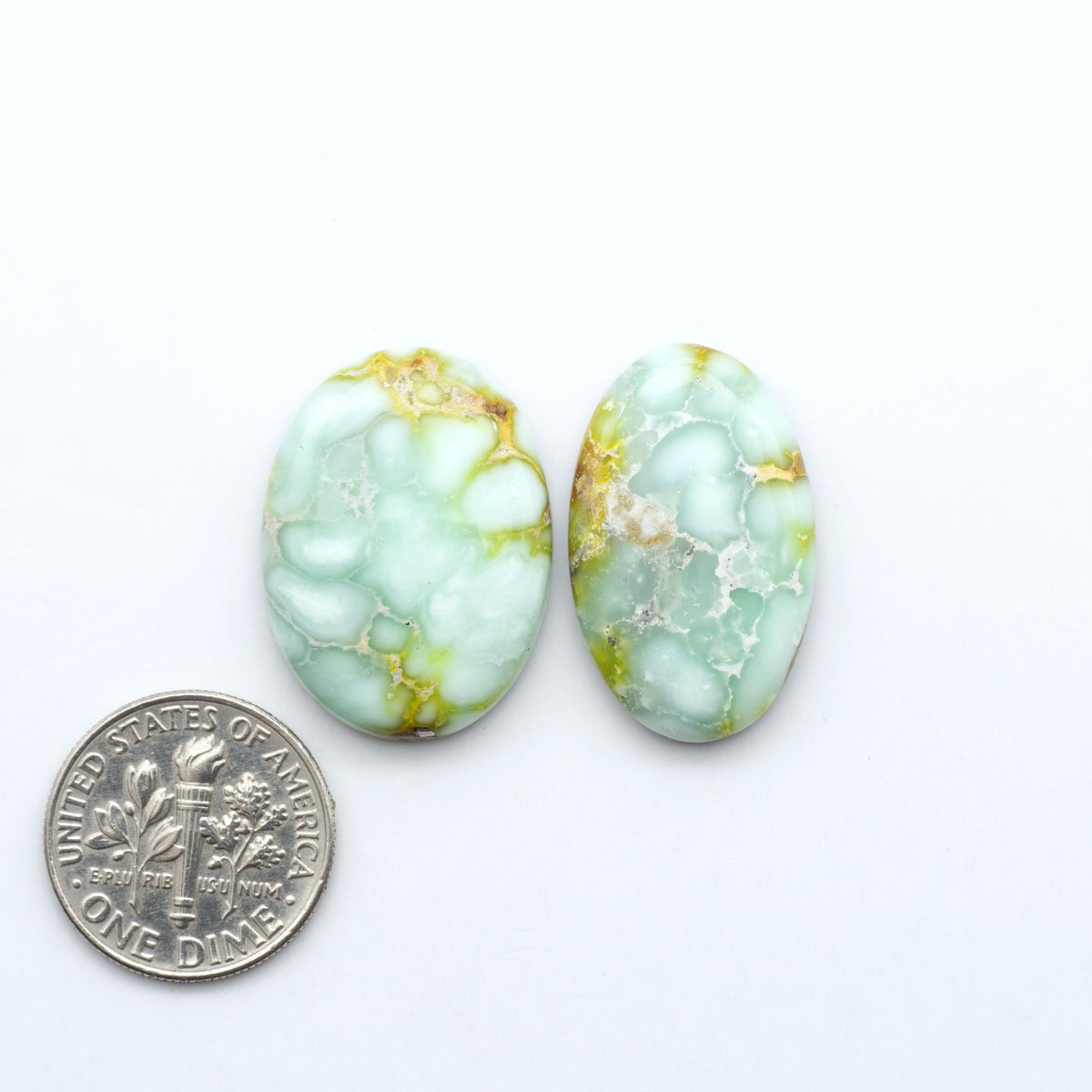 Palomino Variscite cabochons, polished yellow-green gemstones with natural matrix on a white background with a US dime for scale