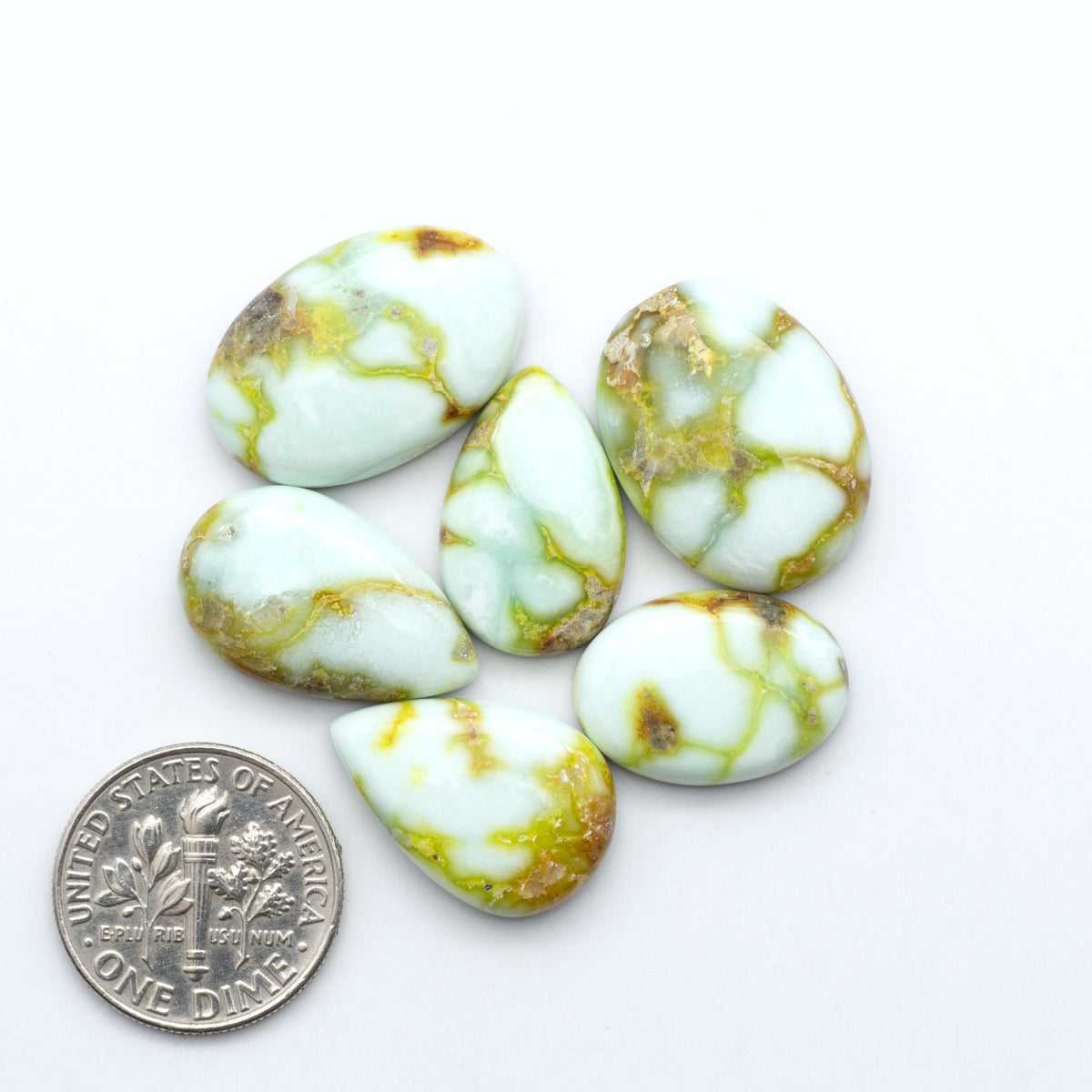 Palomino Variscite cabochons, polished yellow-green gemstones with natural matrix on a white background with a US dime for scale