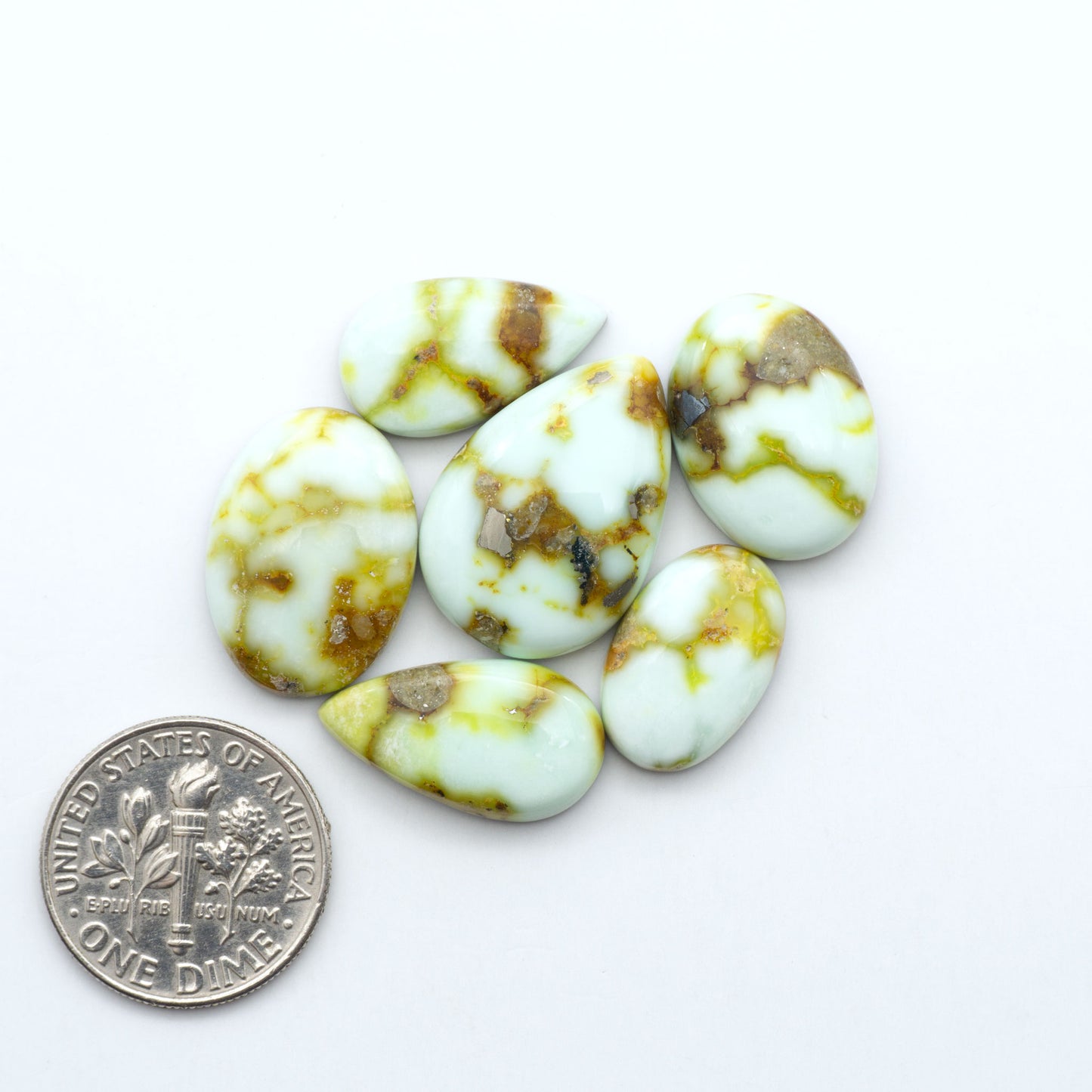 Palomino Variscite cabochons, polished yellow-green gemstones with natural matrix on a white background with a US dime for scale