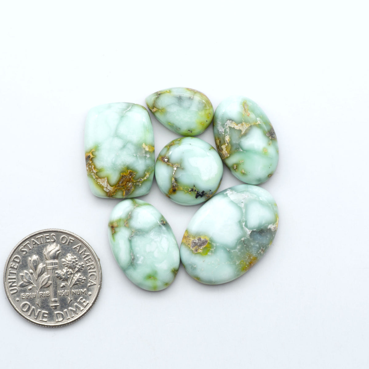 Palomino Variscite cabochons, polished yellow-green gemstones with natural matrix on a white background with a US dime for scale
