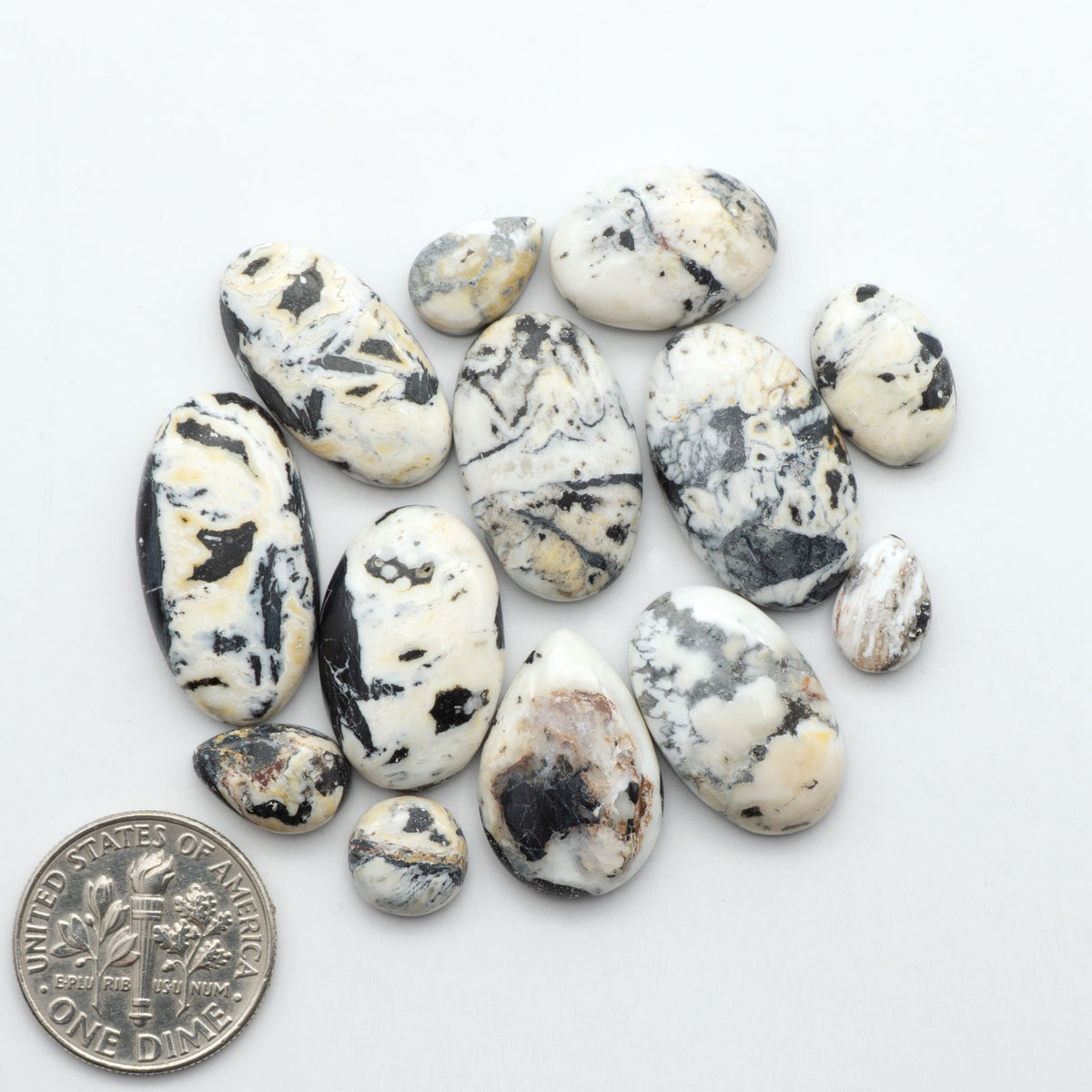 White Buffalo stone cabochons, white stone with black matrix, polished stones on a white background, with a US dime for scale