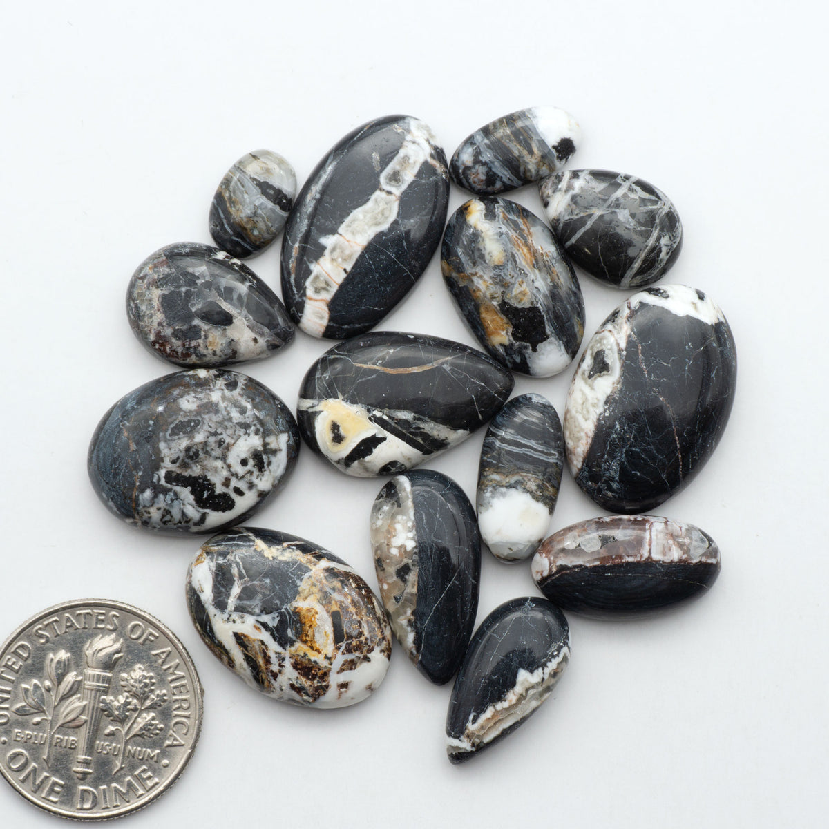 White Buffalo stone cabochons, white stone with black matrix, polished stones on a white background, with a US dime for scale