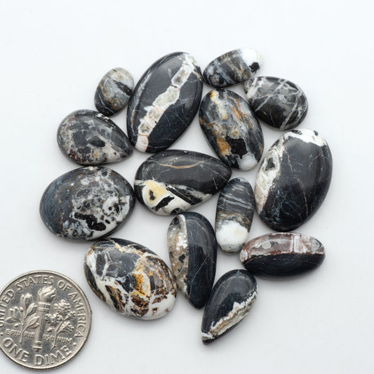 White Buffalo stone cabochons, white stone with black matrix, polished stones on a white background, with a US dime for scale