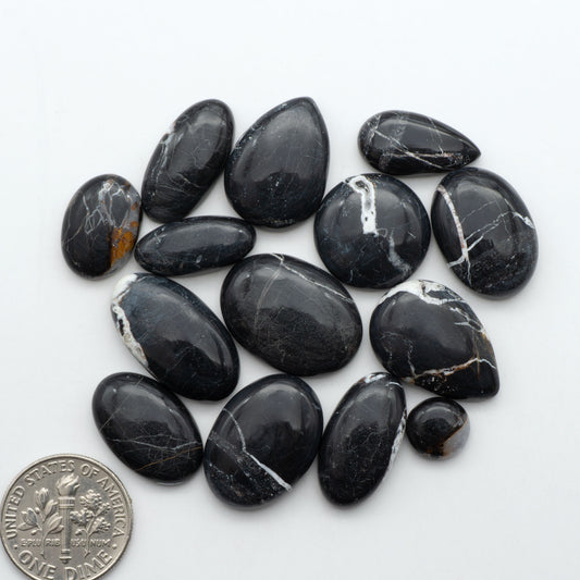 White Buffalo stone cabochons, white stone with black matrix, polished stones on a white background, with a US dime for scale