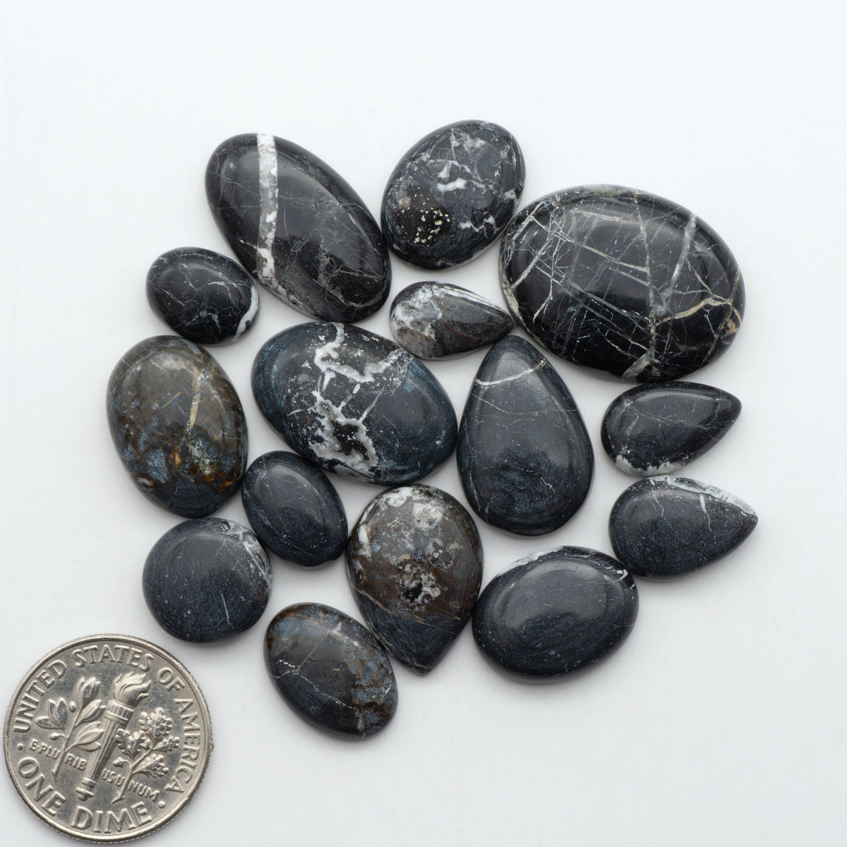 White Buffalo stone cabochons, white stone with black matrix, polished stones on a white background, with a US dime for scale