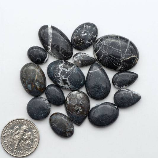 White Buffalo stone cabochons, white stone with black matrix, polished stones on a white background, with a US dime for scale