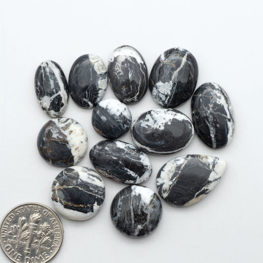 White Buffalo stone cabochons, white stone with black matrix, polished stones on a white background, with a US dime for scale