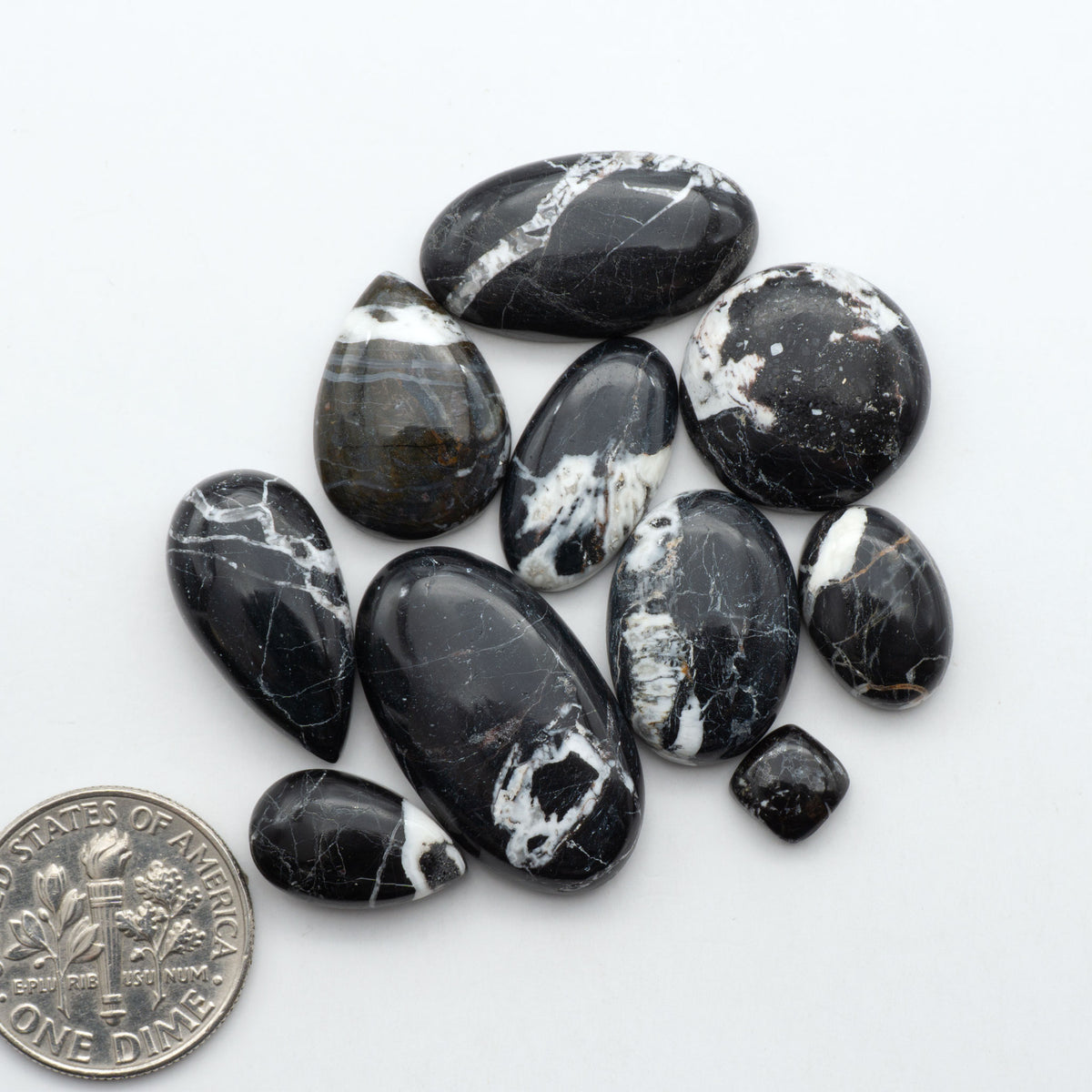 White Buffalo stone cabochons, white stone with black matrix, polished stones on a white background, with a US dime for scale