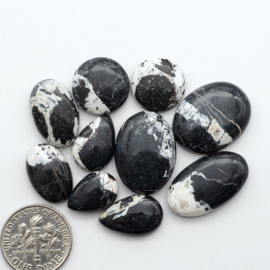White Buffalo stone cabochons, white stone with black matrix, polished stones on a white background, with a US dime for scale
