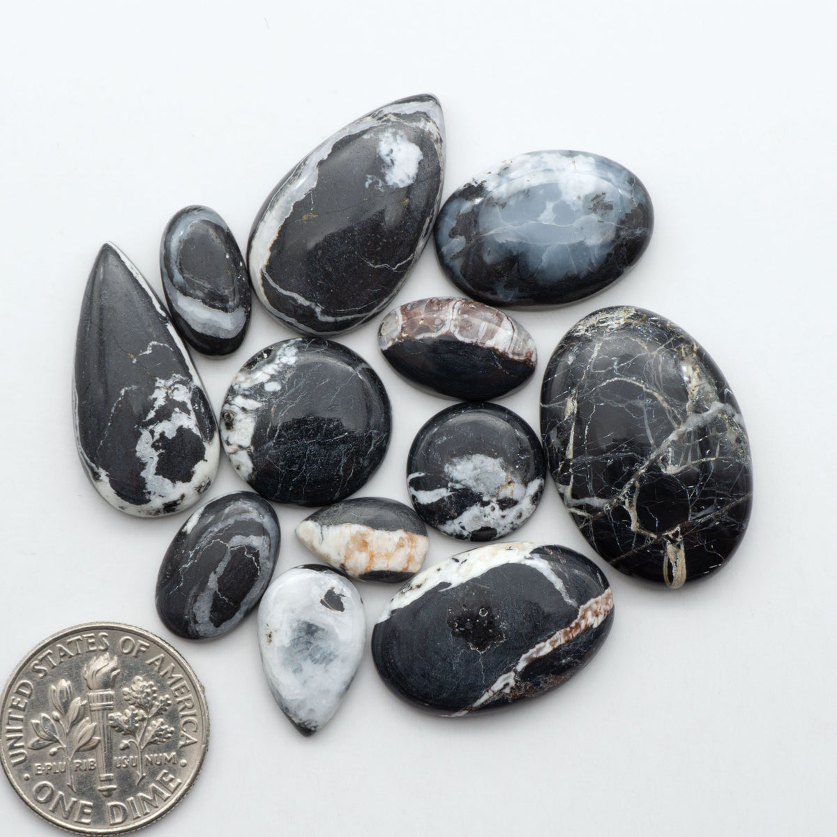 White Buffalo stone cabochons, white stone with black matrix, polished stones on a white background, with a US dime for scale