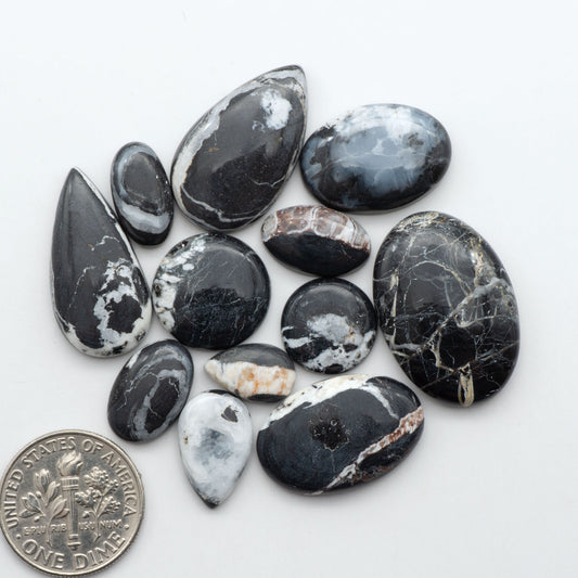 White Buffalo stone cabochons, white stone with black matrix, polished stones on a white background, with a US dime for scale