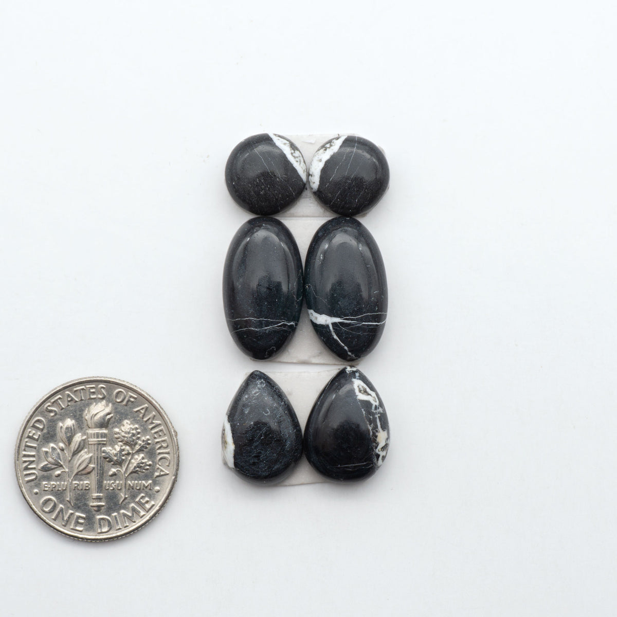 White Buffalo stone cabochons, white stone with black matrix, polished stones on a white background, with a US dime for scale