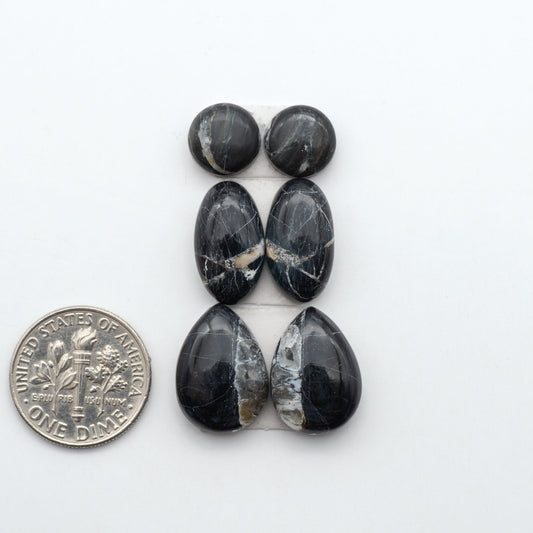 White Buffalo stone cabochons, white stone with black matrix, polished stones on a white background, with a US dime for scale