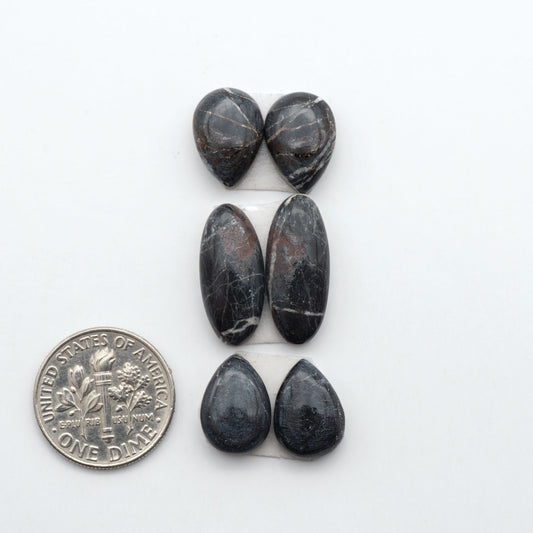 White Buffalo stone cabochons, white stone with black matrix, polished stones on a white background, with a US dime for scale