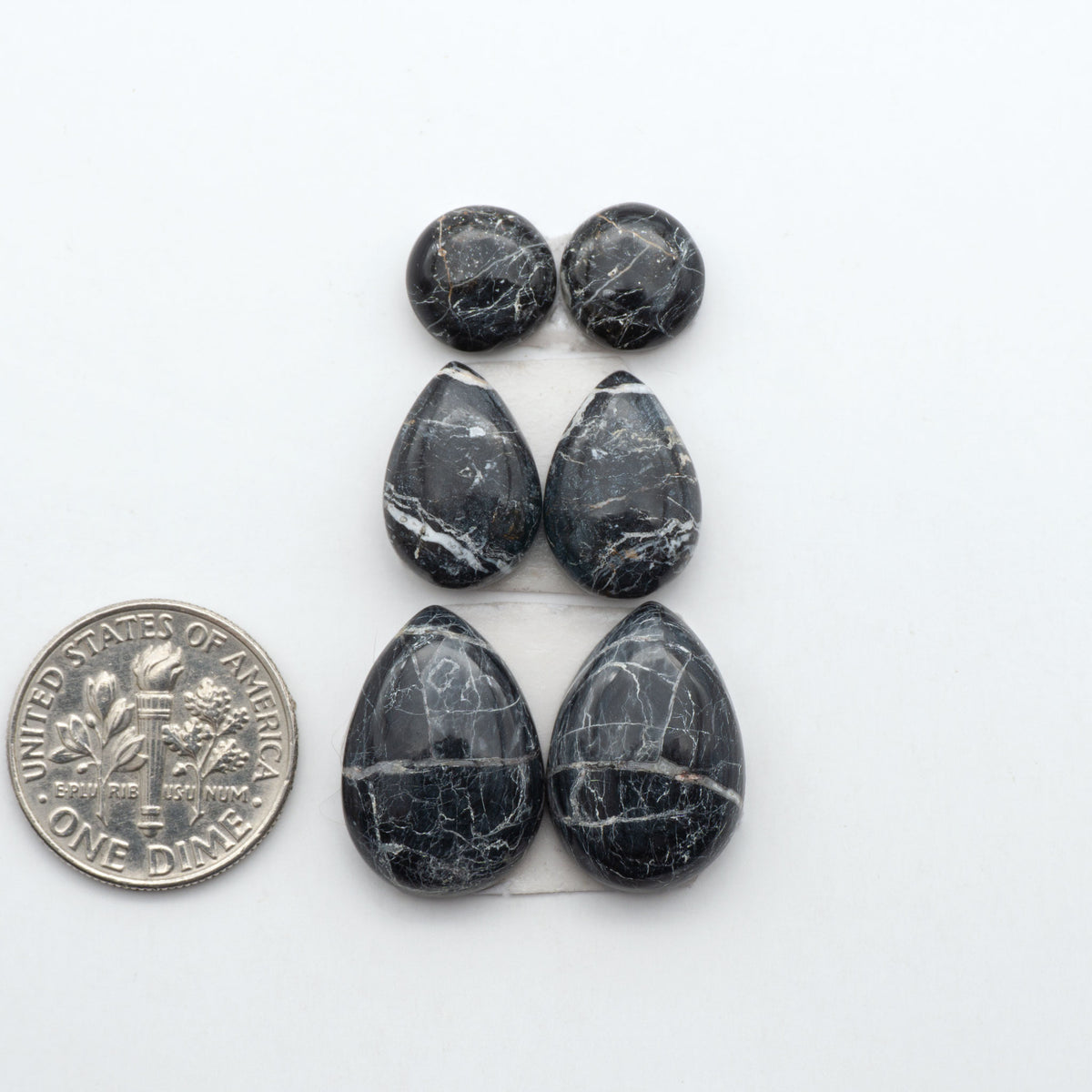 White Buffalo stone cabochons, white stone with black matrix, polished stones on a white background, with a US dime for scale
