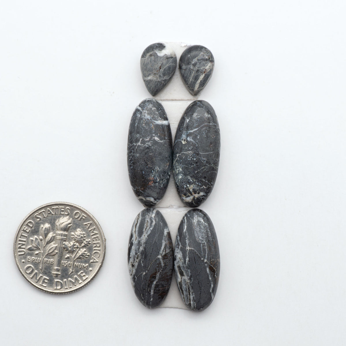 White Buffalo stone cabochons, white stone with black matrix, polished stones on a white background, with a US dime for scale