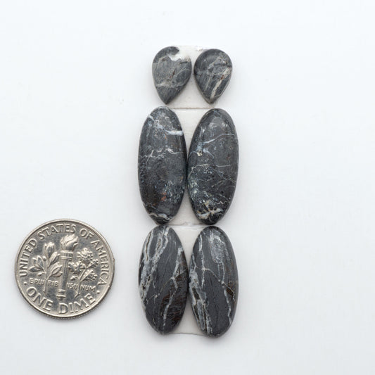 White Buffalo stone cabochons, white stone with black matrix, polished stones on a white background, with a US dime for scale
