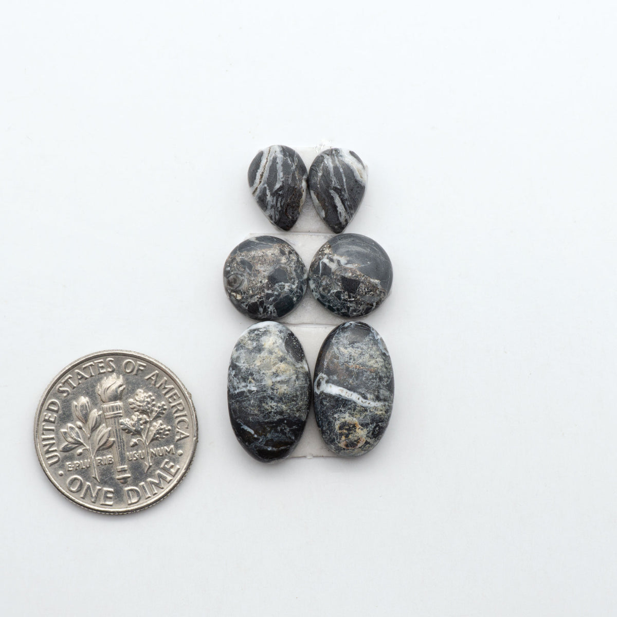 White Buffalo stone cabochons, white stone with black matrix, polished stones on a white background, with a US dime for scale