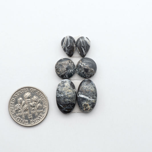 White Buffalo stone cabochons, white stone with black matrix, polished stones on a white background, with a US dime for scale