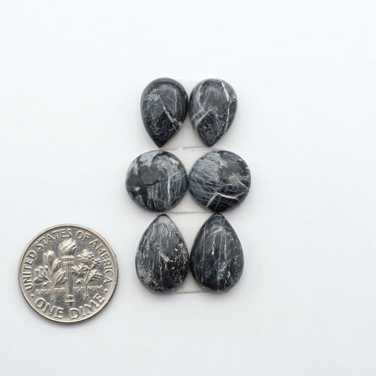 White Buffalo stone cabochons, white stone with black matrix, polished stones on a white background, with a US dime for scale