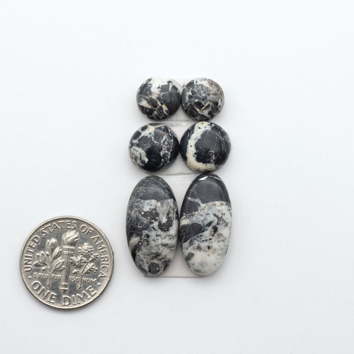White Buffalo stone cabochons, white stone with black matrix, polished stones on a white background, with a US dime for scale