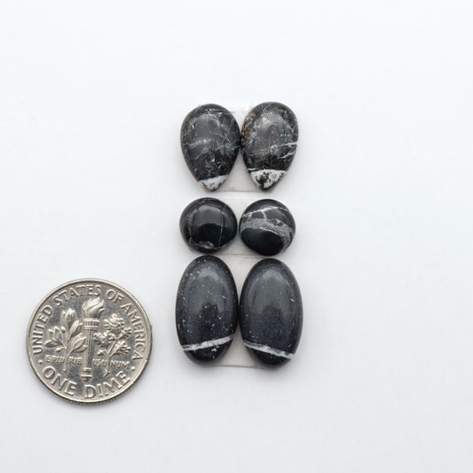 White Buffalo stone cabochons, white stone with black matrix, polished stones on a white background, with a US dime for scale