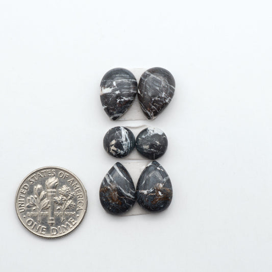 White Buffalo stone cabochons, white stone with black matrix, polished stones on a white background, with a US dime for scale