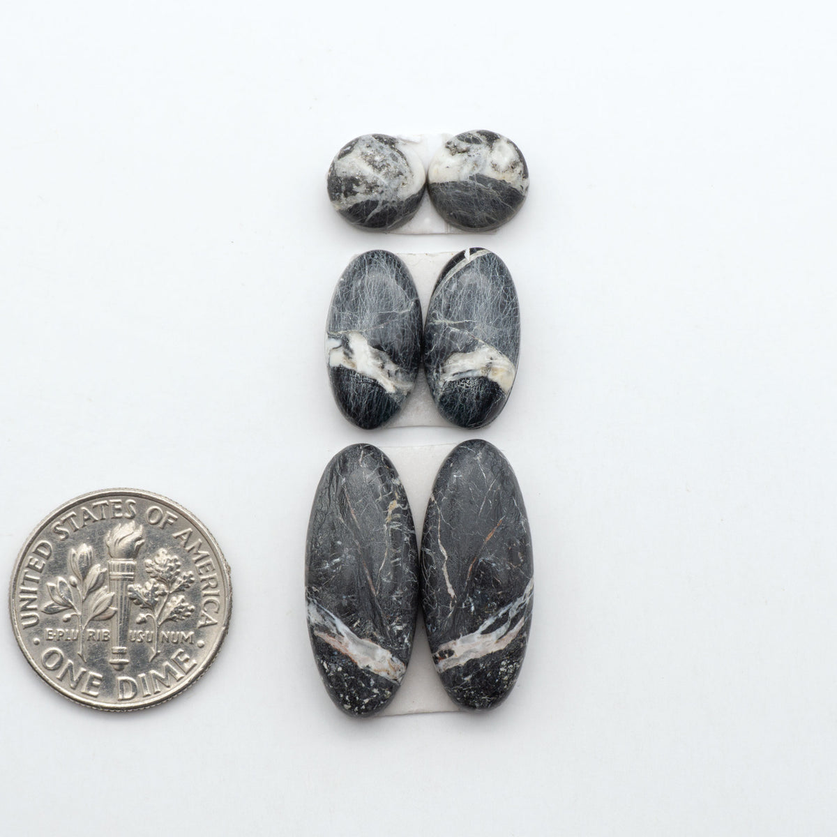 White Buffalo stone cabochons, white stone with black matrix, polished stones on a white background, with a US dime for scale