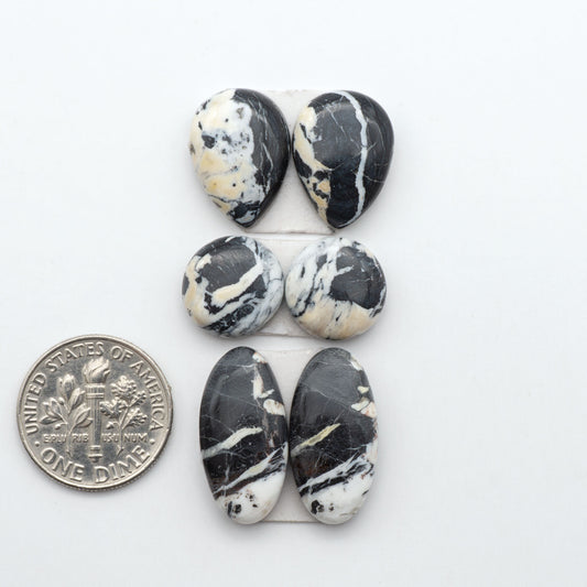 White Buffalo stone cabochons, white stone with black matrix, polished stones on a white background, with a US dime for scale