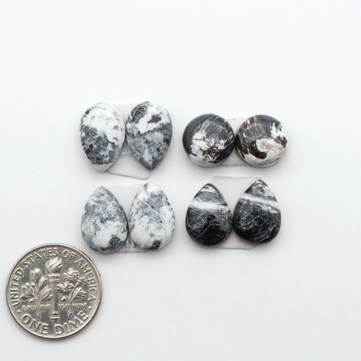White Buffalo stone cabochons, white stone with black matrix, polished stones on a white background, with a US dime for scale