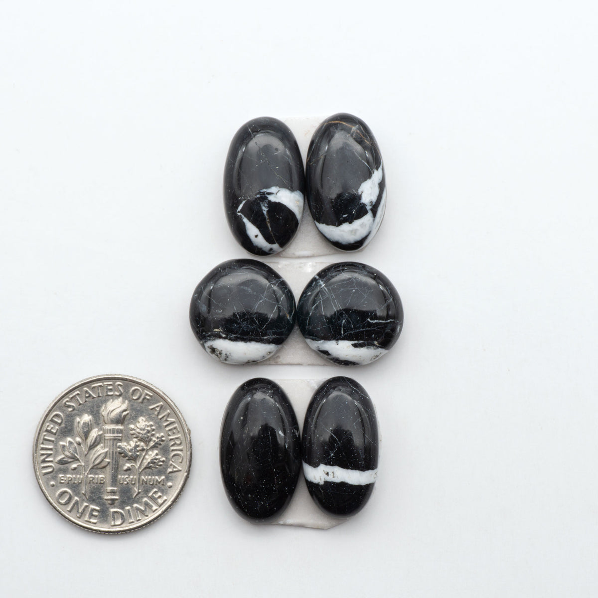 White Buffalo stone cabochons, white stone with black matrix, polished stones on a white background, with a US dime for scale