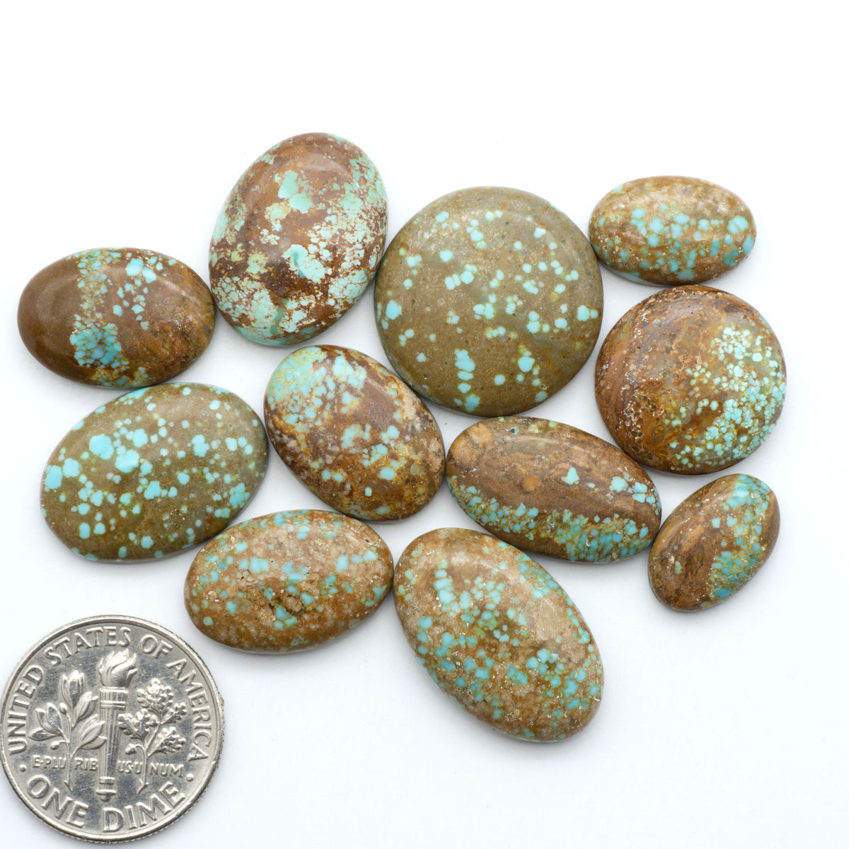 Number 8 Turquoise cabochons, blue and green color with brown matrix, polished stones on a white background, with a US dime for scale