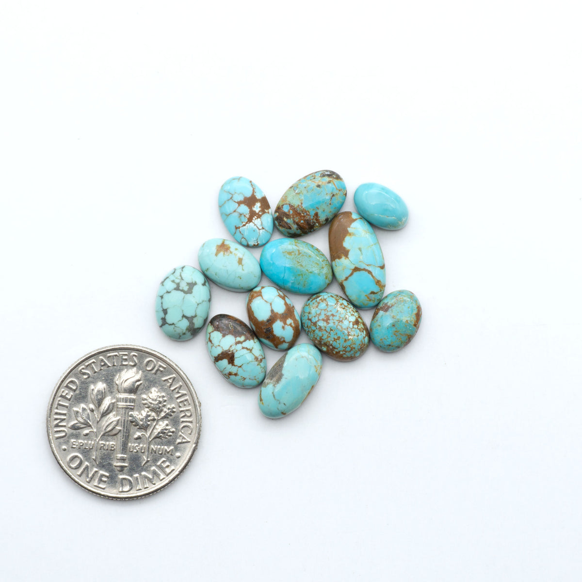 Number 8 Turquoise cabochons, blue and green color with brown matrix, polished stones on a white background, with a US dime for scale