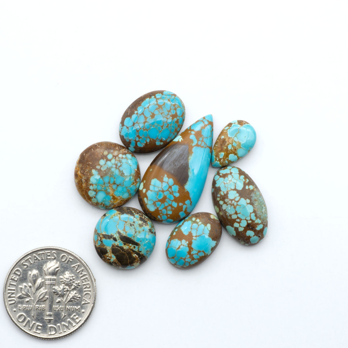 Number 8 Turquoise cabochons, blue and green color with brown matrix, polished stones on a white background, with a US dime for scale
