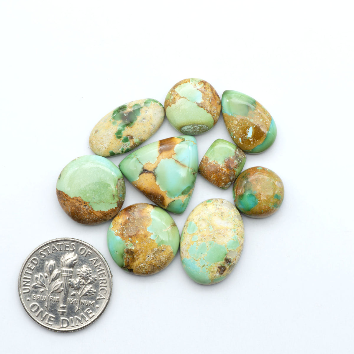 Sonoran Mountain Turquoise cabochons, blue-green color with natural matrix, polished stones on a white background, with a US dime for scale