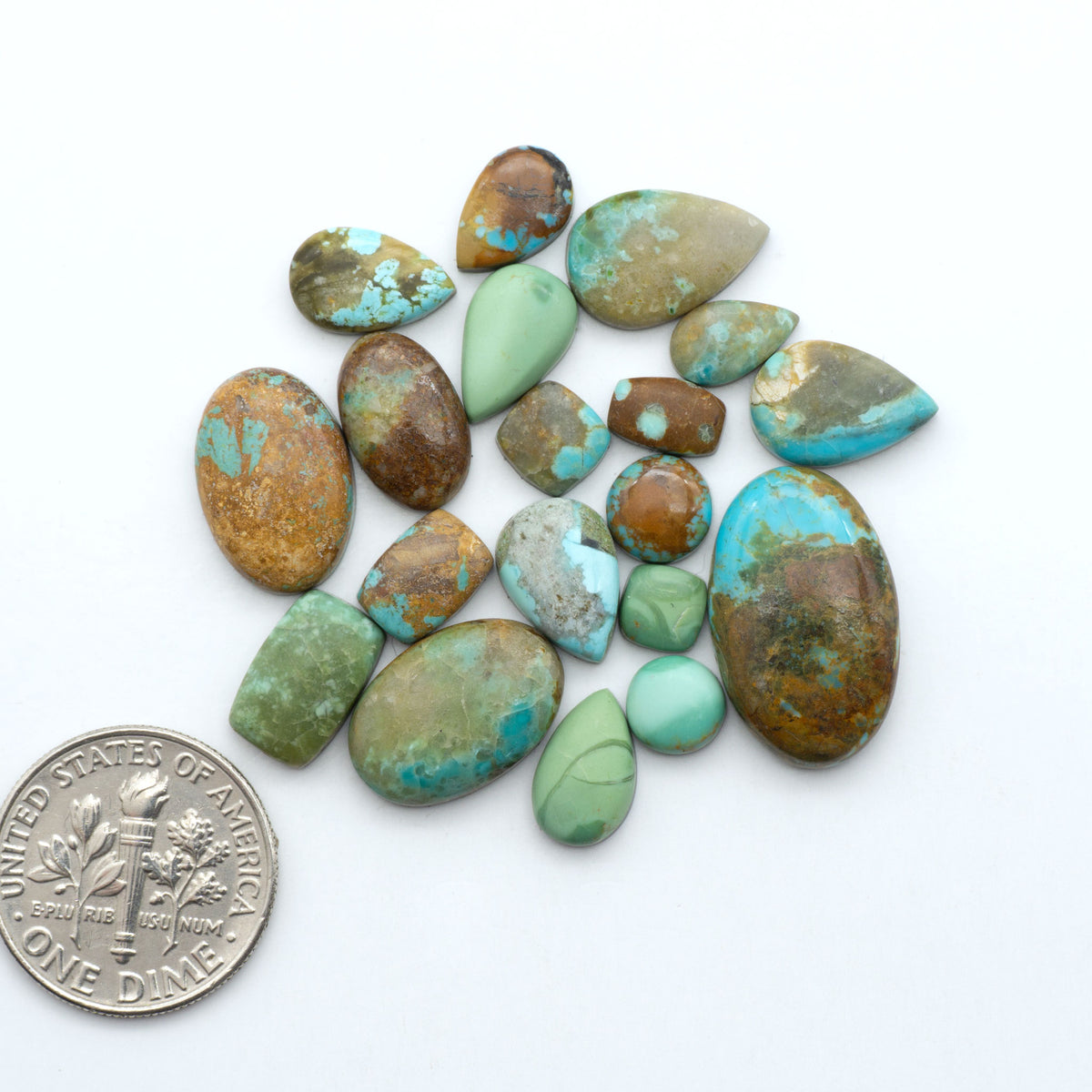 Kings Manassa Turquoise cabochons, polished green-blue gemstones with natural matrix on a white background with a US dime for scale