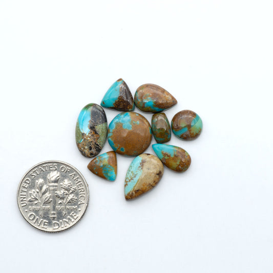 Kings Manassa Turquoise cabochons, polished green-blue gemstones with natural matrix on a white background with a US dime for scale