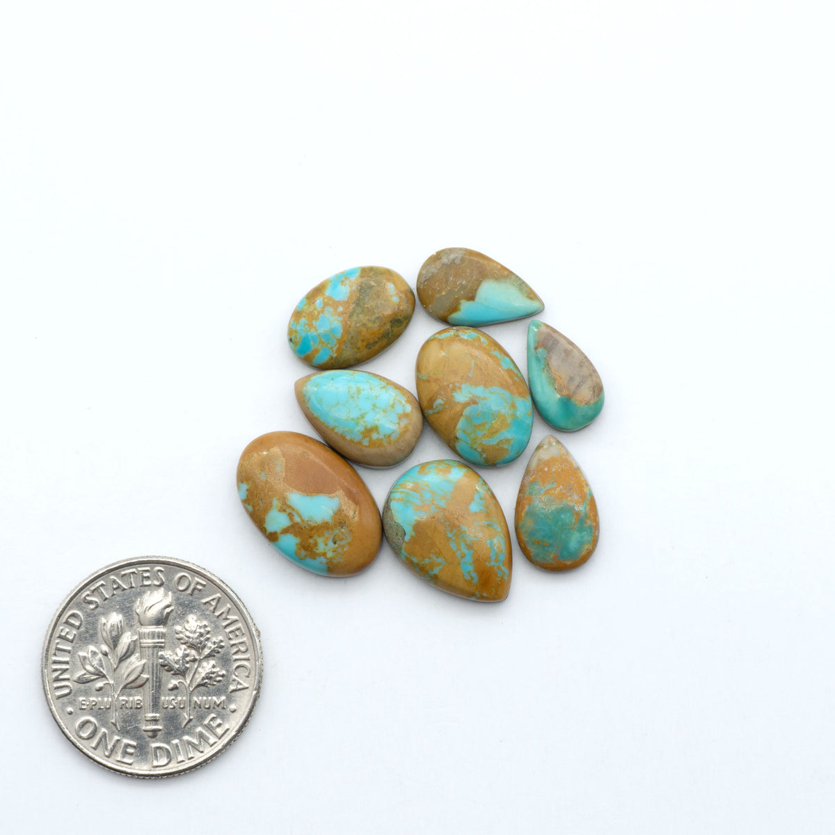 Kings Manassa Turquoise cabochons, polished green-blue gemstones with natural matrix on a white background with a US dime for scale