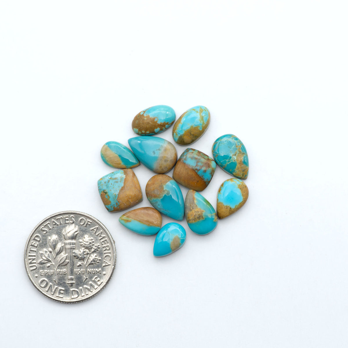 Kings Manassa Turquoise cabochons, polished green-blue gemstones with natural matrix on a white background with a US dime for scale