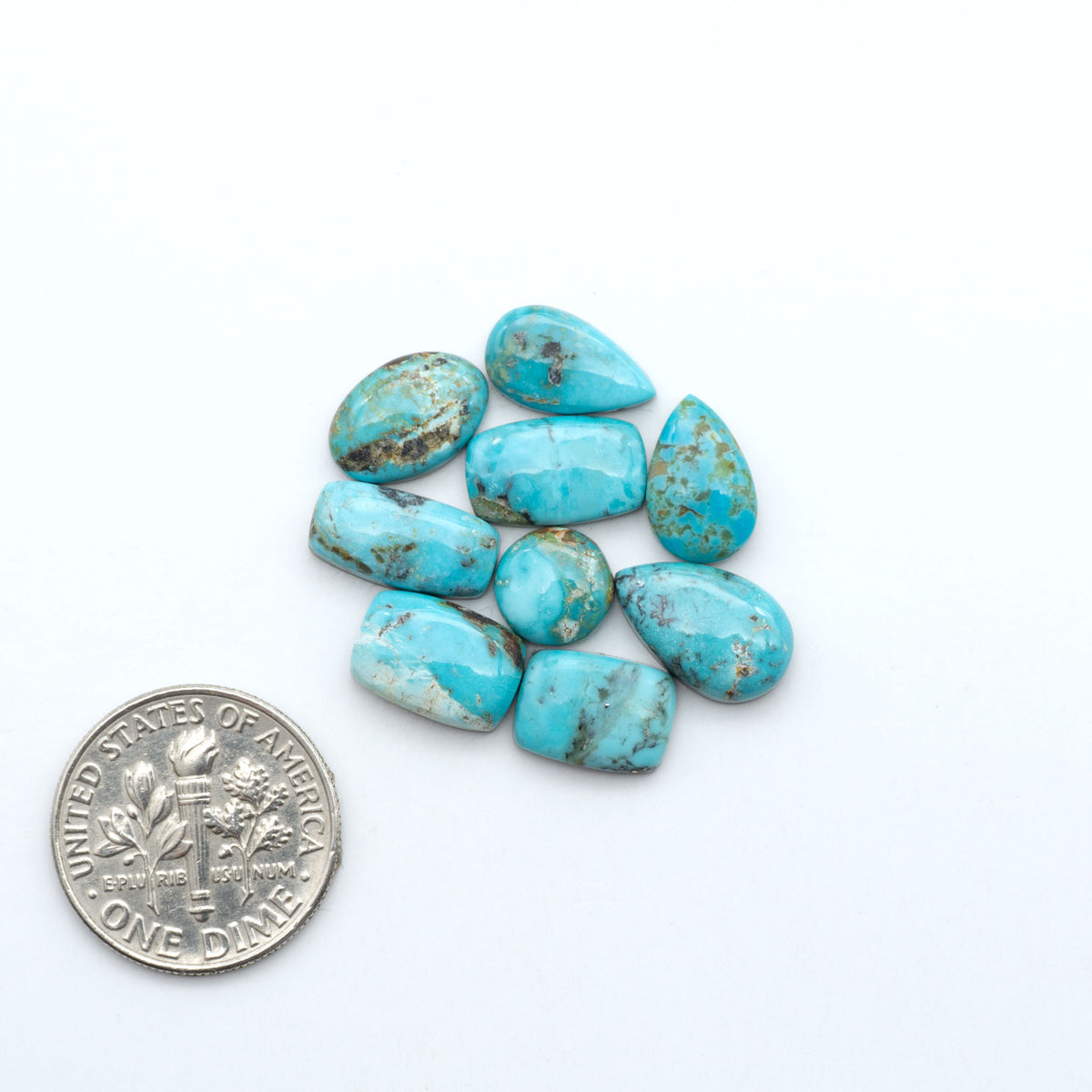 Kings Manassa Turquoise cabochons, polished green-blue gemstones with natural matrix on a white background with a US dime for scale